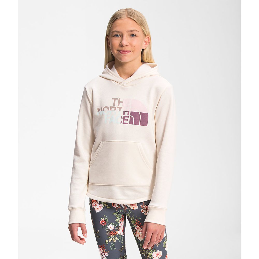 The North Face Hoodie Girls Australia - The North Face Camp Fleece Pullover White (BUQ-041235)